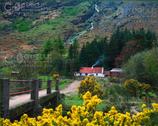 The Wicklow Gallery. Cottage at Glenmalure, Co. Wicklow