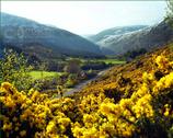 Irish photography. The Wicklow Gallery. April Snow on Furz in Glenmalure Valley - Co. Wicklow