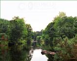 The Wicklow Gallery. Steam Train on Viaduct, Rathdrum Station -  Co. Wicklow