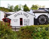 The Wicklow Gallery. Ireland's oldest weaving mill at Avoca - Co. Wicklow