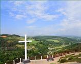 The Wicklow Gallery. The Miners Cross, Avoca - Co. Wicklow