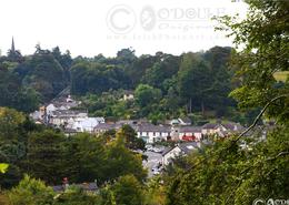 The Wicklow Gallery. Disenchanted'   Enniskerry Villiage,  Co. Wicklow