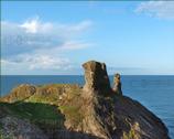 The Wicklow Town Gallery. The Black Castle Ruins, Wicklow Town - Co. Wicklow