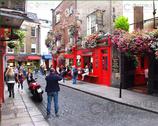 The Dublin Gallery. Temple Bar Area  - Dublin City