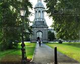 The Dublin Gallery. Trinity College Campus -Dublin City