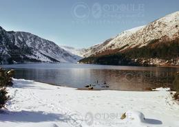 The Many Snows Gallery. Big Snow 1980, Upper Lake Glendalough - Co. Wicklow 