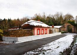 The Many Snows Gallery. The Lodge  Kiltennell near Gorey - Co. Wexford