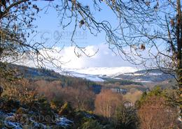 The Many Snows Gallery. Snow on the Wicklow Hills - Co. Wicklow