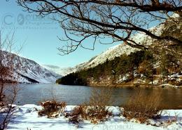 The Many Snows Gallery. Upper Lake  Glendalough - Co. Wicklow 