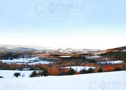 The Many Snows Gallery. Colours in the Snow, West Wicklow Hills - Co. Wicklow