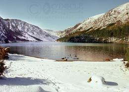 The Many Snows Gallery. Upper Lake Glendalough 1980 - Co. Wicklow