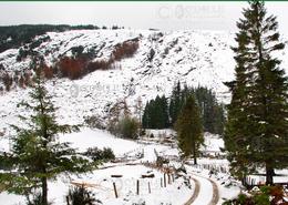 The Many Snows Gallery. Winter Time in Glenmalure Valley - Co. Wicklow