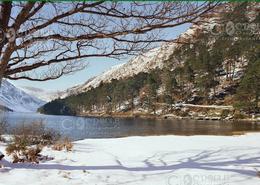 The Many Snows Gallery. Winter Sun at The Upper Lake in Glendalough - Co. Wicklow