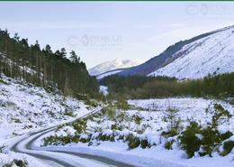 The Many Snows Gallery. The Road to Glenmalure 2009 - Co. Wicklow 