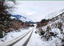 The Many Snows Gallery. The Glenmalure Valley - Co. Wicklow