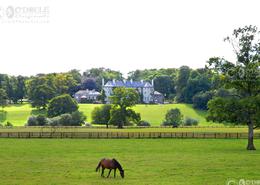 The Kilkenny Gallery. Mount Juliet Estate - Thomastown,  Co. Kilkenny