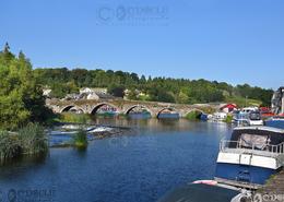 The Kilkenny Gallery. The 17th century Bridge over the Barrow at Graiguenamanagh