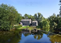 The Kilkenny Gallery. The Old Mill at Kells, Co Kilkenny