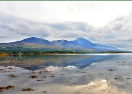 The Mayo Gallery. Croagh Patrick - Co. Mayo