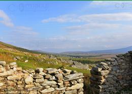 The Mayo Gallery.  Deserted Village, Slievemore Mountain, Achill Island - Co. Mayo