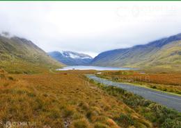 The Mayo Gallery. Doolough Valley - Co. Mayo