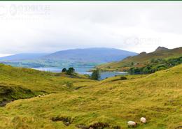 Irish photography. The Mayo Gallery. Outskirts Of Killary Harbour - Co. Mayo