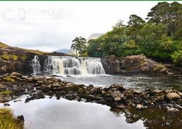 The Mayo Gallery. Aasleagh Falls, River Erriff - Co. Mayo