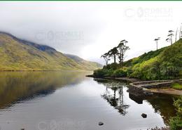 The Mayo Gallery. Doolough - Co. Mayo