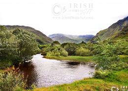 The Mayo Gallery. Doolough Valley, Co. Mayo