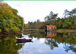 The Westport Gallery. Reflections at Westport Quay - Co. Mayo