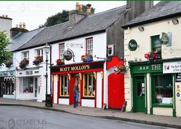 The Westport Gallery. Music Central - Matt Molloys of Westport - Co. Mayo