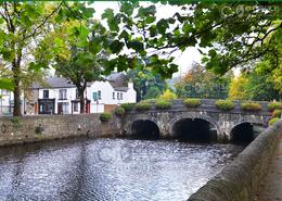 The Westport Gallery. Tranquil Waters Flowing Through Westport - Co. Mayo