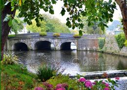 The Westport Gallery. Peaceful and Quiet at the Carrowbeg River in Westport - Co. Mayo