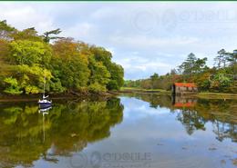 The Westport Gallery. Westport Quay Reflection - Co. Mayo