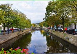 The Westport Gallery. North & South Malls by the Carrowbeg River in Westport - Co. Mayo