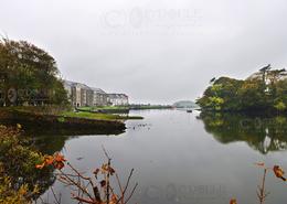 The Westport Gallery. Soft Morning on Westport Harbour - Co. Mayo