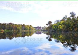 The Westport Gallery. Majestic Westport House - Co. Mayo