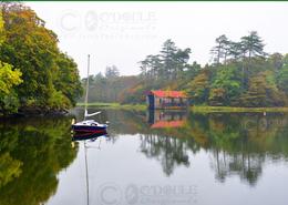 The Westport Gallery. Misty Morning at Westport Quay - Co. Mayo