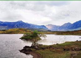 The Galway Gallery. Derryclare, Connemara - Co. Galway