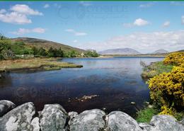 The Galway Gallery. The Quiet Man Bridge, Connemara  - Co. Galway 