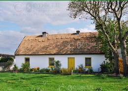 The Galway Gallery. Private Farm Cottage near Kinvara - Co. Galway