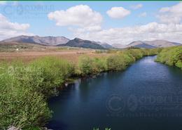 The Galway Gallery. The Bens from Maam Bridge, Connemara - Co. Galway