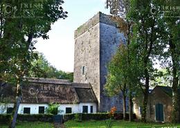 The Galway Gallery. Thoor Ballylee, the home of WB Yeats, near Gort, Co. Galway.