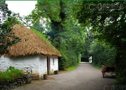 The Clare Gallery. A Country Lane - Co. Clare  