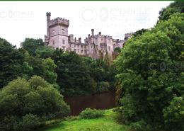 The Roscommon, Cavan & Carlow Gallery. Lismore Castle  - Co. Waterford