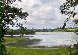 The Roscommon, Cavan & Carlow Gallery. The Lake District - Co. Cavan 