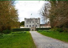 The Roscommon, Cavan & Carlow Gallery. Huntington Castle, Village of Clonegal - Co. Carlow