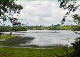 The Roscommon, Cavan & Carlow Gallery. Lake by the Road to Kilashandra - Co. Cavan