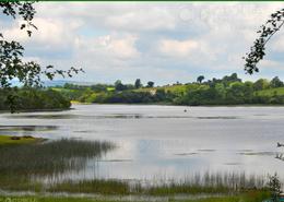 The Roscommon, Cavan & Carlow Gallery. Lonesome boatman in the Lake District - Co. Cavan