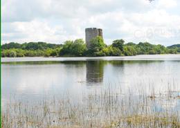 The Roscommon, Cavan & Carlow Gallery. Medieval Cloughoughter Castle on Lough Oughter - Co. Cavan